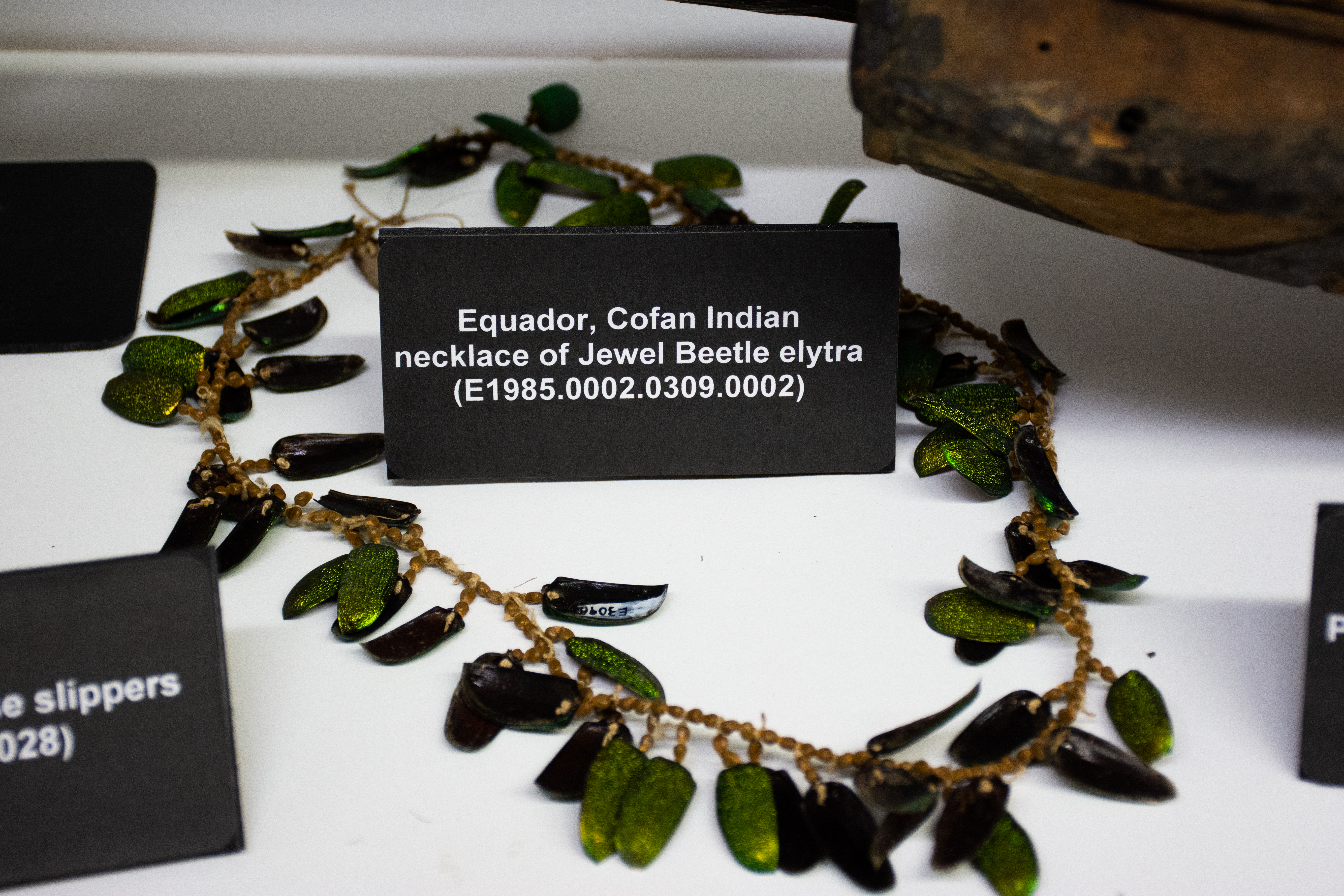 Equador, Cofan Indian Necklace of Jewel Beetle elytra