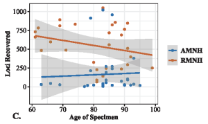 Number of loci recovered from AHE sequencing, and age of specimen compared between museums.