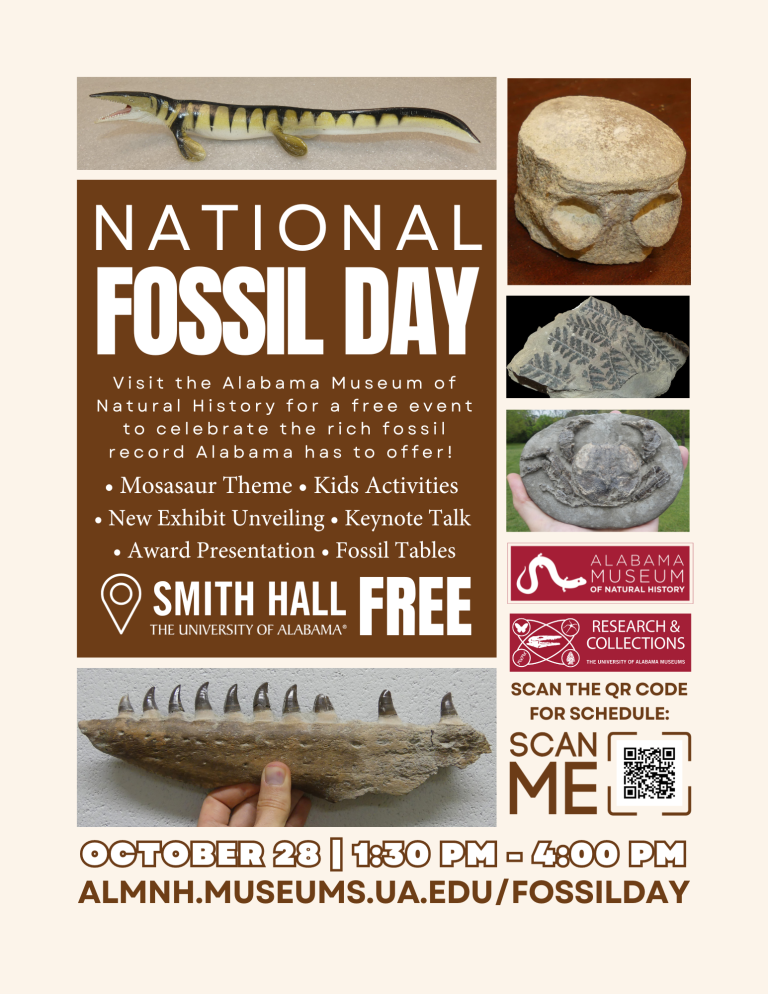 National Fossil Day flyer