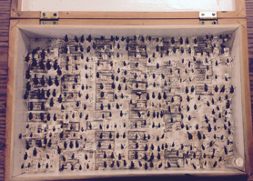 collection of Löding beetles