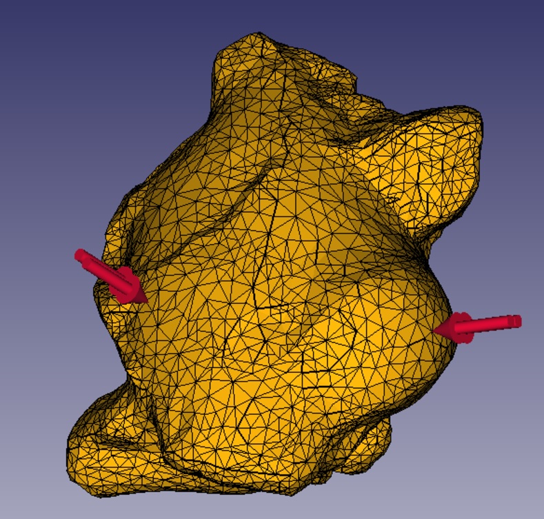 Finite element model of the crab Macroacaena rosenkrantzi with point load pressure on the left and right (parasitized) gill chambers. Source: Nathan Wright